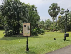 Singapore Botanic Gardens Svg+xml,%3Csvg%20xmlns%3D%22http%3A%2F%2Fwww.w3
