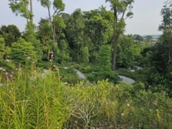 Singapore Botanic Gardens Svg+xml,%3Csvg%20xmlns%3D%22http%3A%2F%2Fwww.w3