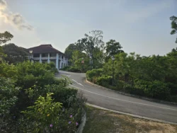 Singapore Botanic Gardens Svg+xml,%3Csvg%20xmlns%3D%22http%3A%2F%2Fwww.w3