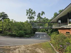 Singapore Botanic Gardens Svg+xml,%3Csvg%20xmlns%3D%22http%3A%2F%2Fwww.w3