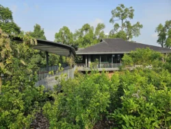 Singapore Botanic Gardens Svg+xml,%3Csvg%20xmlns%3D%22http%3A%2F%2Fwww.w3