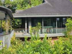 Singapore Botanic Gardens Svg+xml,%3Csvg%20xmlns%3D%22http%3A%2F%2Fwww.w3