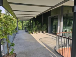 Singapore Botanic Gardens Svg+xml,%3Csvg%20xmlns%3D%22http%3A%2F%2Fwww.w3