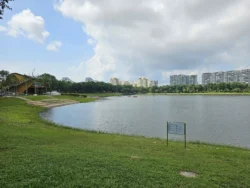 Bedok Reservoir Park Svg+xml,%3Csvg%20xmlns%3D%22http%3A%2F%2Fwww.w3