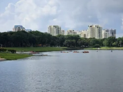 Bedok Reservoir Park Svg+xml,%3Csvg%20xmlns%3D%22http%3A%2F%2Fwww.w3