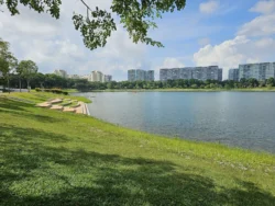 Bedok Reservoir Park Svg+xml,%3Csvg%20xmlns%3D%22http%3A%2F%2Fwww.w3