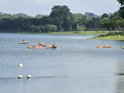 Bedok Reservoir Park Svg+xml,%3Csvg%20xmlns%3D%22http%3A%2F%2Fwww.w3