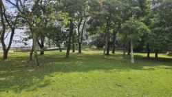 West Coast Park Svg+xml,%3Csvg%20xmlns%3D%22http%3A%2F%2Fwww.w3