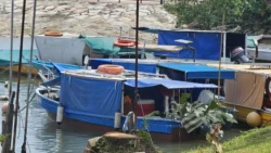 West Coast Park Svg+xml,%3Csvg%20xmlns%3D%22http%3A%2F%2Fwww.w3