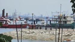 West Coast Park Svg+xml,%3Csvg%20xmlns%3D%22http%3A%2F%2Fwww.w3