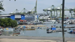 West Coast Park Svg+xml,%3Csvg%20xmlns%3D%22http%3A%2F%2Fwww.w3