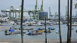 West Coast Park Svg+xml,%3Csvg%20xmlns%3D%22http%3A%2F%2Fwww.w3