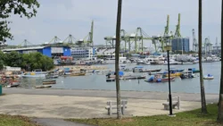 West Coast Park Svg+xml,%3Csvg%20xmlns%3D%22http%3A%2F%2Fwww.w3