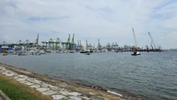 West Coast Park Svg+xml,%3Csvg%20xmlns%3D%22http%3A%2F%2Fwww.w3