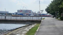 West Coast Park Svg+xml,%3Csvg%20xmlns%3D%22http%3A%2F%2Fwww.w3