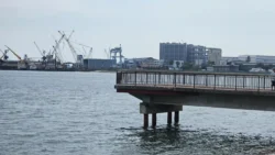 West Coast Park Svg+xml,%3Csvg%20xmlns%3D%22http%3A%2F%2Fwww.w3