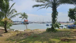 West Coast Park Svg+xml,%3Csvg%20xmlns%3D%22http%3A%2F%2Fwww.w3