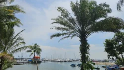 West Coast Park Svg+xml,%3Csvg%20xmlns%3D%22http%3A%2F%2Fwww.w3