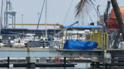 West Coast Park Svg+xml,%3Csvg%20xmlns%3D%22http%3A%2F%2Fwww.w3