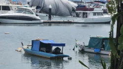 West Coast Park Svg+xml,%3Csvg%20xmlns%3D%22http%3A%2F%2Fwww.w3