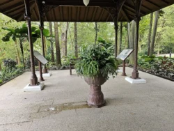 Singapore Botanic Gardens Svg+xml,%3Csvg%20xmlns%3D%22http%3A%2F%2Fwww.w3