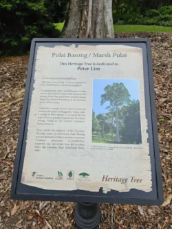 Singapore Botanic Gardens Svg+xml,%3Csvg%20xmlns%3D%22http%3A%2F%2Fwww.w3