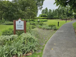 Singapore Botanic Gardens Svg+xml,%3Csvg%20xmlns%3D%22http%3A%2F%2Fwww.w3