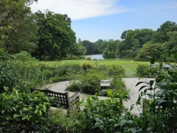 Singapore Botanic Gardens Svg+xml,%3Csvg%20xmlns%3D%22http%3A%2F%2Fwww.w3