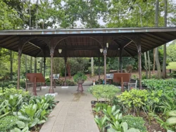 Singapore Botanic Gardens Svg+xml,%3Csvg%20xmlns%3D%22http%3A%2F%2Fwww.w3