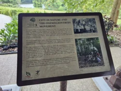 Singapore Botanic Gardens Svg+xml,%3Csvg%20xmlns%3D%22http%3A%2F%2Fwww.w3