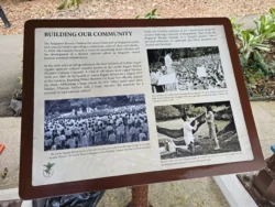 Singapore Botanic Gardens Svg+xml,%3Csvg%20xmlns%3D%22http%3A%2F%2Fwww.w3