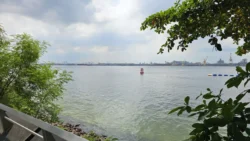 Punggol Point Park Svg+xml,%3Csvg%20xmlns%3D%22http%3A%2F%2Fwww.w3