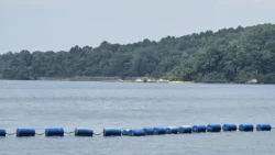 Punggol Point Park Svg+xml,%3Csvg%20xmlns%3D%22http%3A%2F%2Fwww.w3