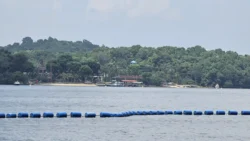 Punggol Point Park Svg+xml,%3Csvg%20xmlns%3D%22http%3A%2F%2Fwww.w3