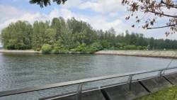 Punggol Point Park Svg+xml,%3Csvg%20xmlns%3D%22http%3A%2F%2Fwww.w3