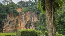 Bukit Batok Nature Park Svg+xml,%3Csvg%20xmlns%3D%22http%3A%2F%2Fwww.w3