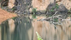 Bukit Batok Nature Park Svg+xml,%3Csvg%20xmlns%3D%22http%3A%2F%2Fwww.w3