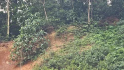 Bukit Batok Nature Park Svg+xml,%3Csvg%20xmlns%3D%22http%3A%2F%2Fwww.w3