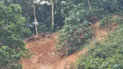 Bukit Batok Nature Park Svg+xml,%3Csvg%20xmlns%3D%22http%3A%2F%2Fwww.w3