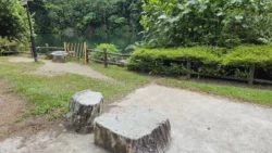 Bukit Batok Nature Park Svg+xml,%3Csvg%20xmlns%3D%22http%3A%2F%2Fwww.w3