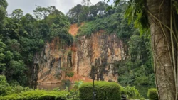 Bukit Batok Nature Park Svg+xml,%3Csvg%20xmlns%3D%22http%3A%2F%2Fwww.w3