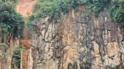 Bukit Batok Nature Park Svg+xml,%3Csvg%20xmlns%3D%22http%3A%2F%2Fwww.w3