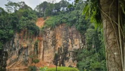 Bukit Batok Nature Park Svg+xml,%3Csvg%20xmlns%3D%22http%3A%2F%2Fwww.w3