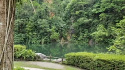 Bukit Batok Nature Park Svg+xml,%3Csvg%20xmlns%3D%22http%3A%2F%2Fwww.w3