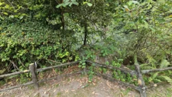 Bukit Batok Nature Park Svg+xml,%3Csvg%20xmlns%3D%22http%3A%2F%2Fwww.w3