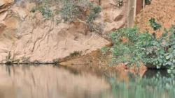 Bukit Batok Nature Park Svg+xml,%3Csvg%20xmlns%3D%22http%3A%2F%2Fwww.w3