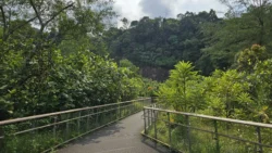 Rifle Range Nature Park Svg+xml,%3Csvg%20xmlns%3D%22http%3A%2F%2Fwww.w3