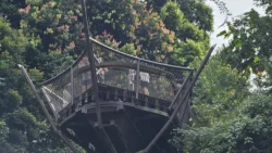 Rifle Range Nature Park Svg+xml,%3Csvg%20xmlns%3D%22http%3A%2F%2Fwww.w3