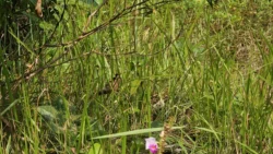 Rifle Range Nature Park Svg+xml,%3Csvg%20xmlns%3D%22http%3A%2F%2Fwww.w3