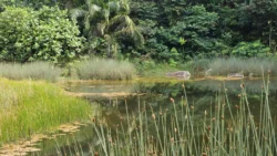 Rifle Range Nature Park Svg+xml,%3Csvg%20xmlns%3D%22http%3A%2F%2Fwww.w3